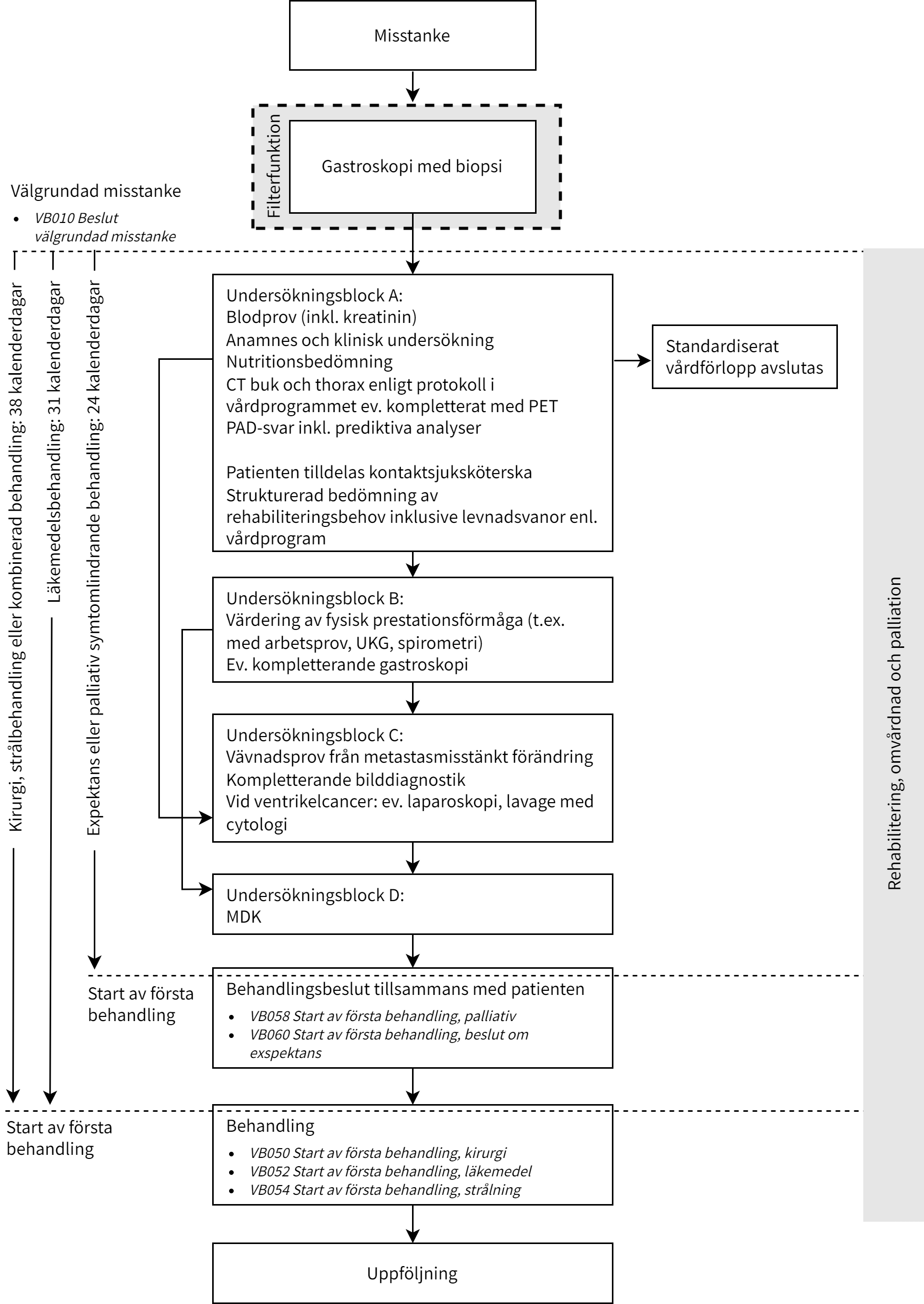 Fl&ouml;desschema matstrupe och mags&auml;ckscancer 2024.png