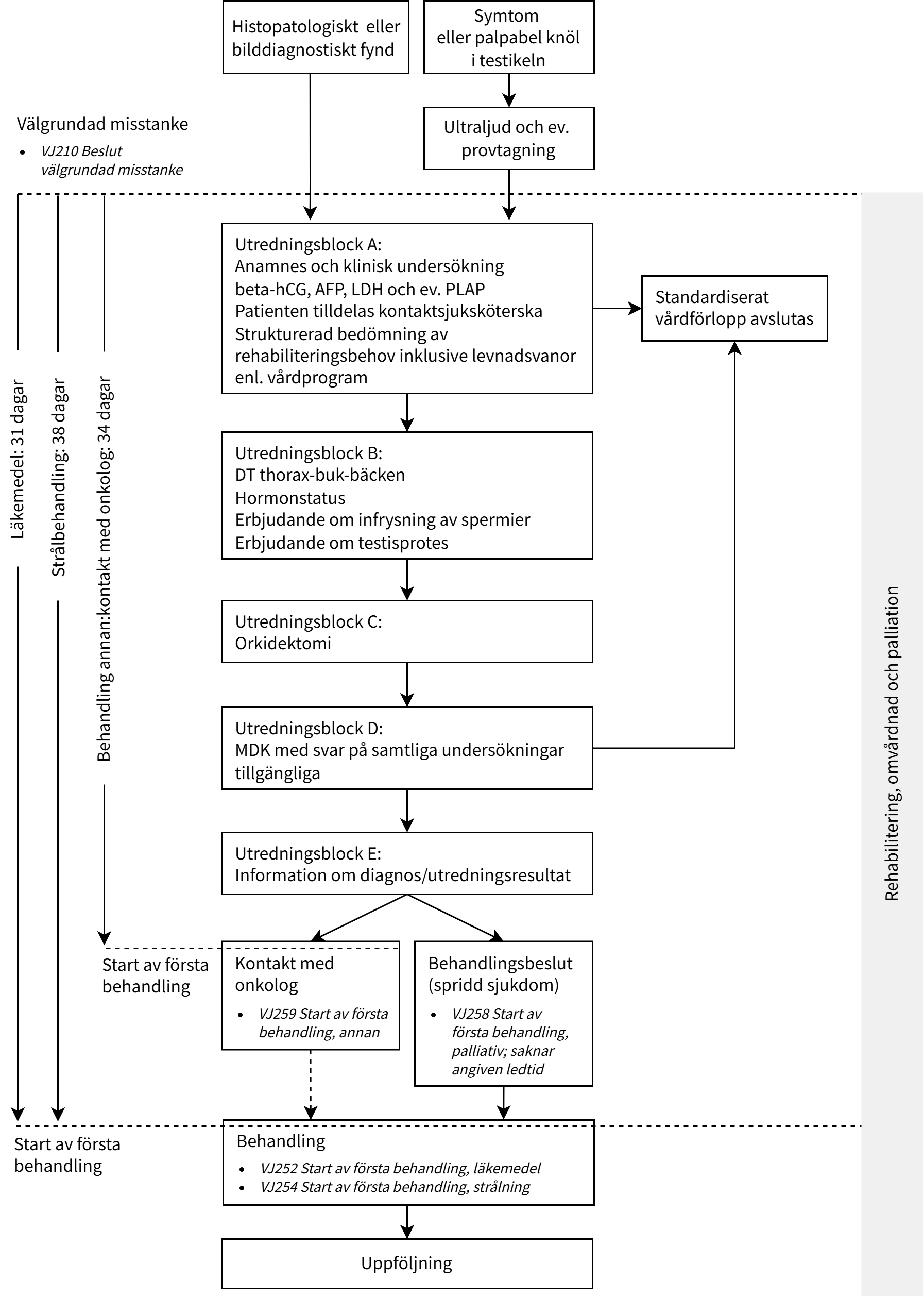 Fl&ouml;desschema testikelcancer 2025.png