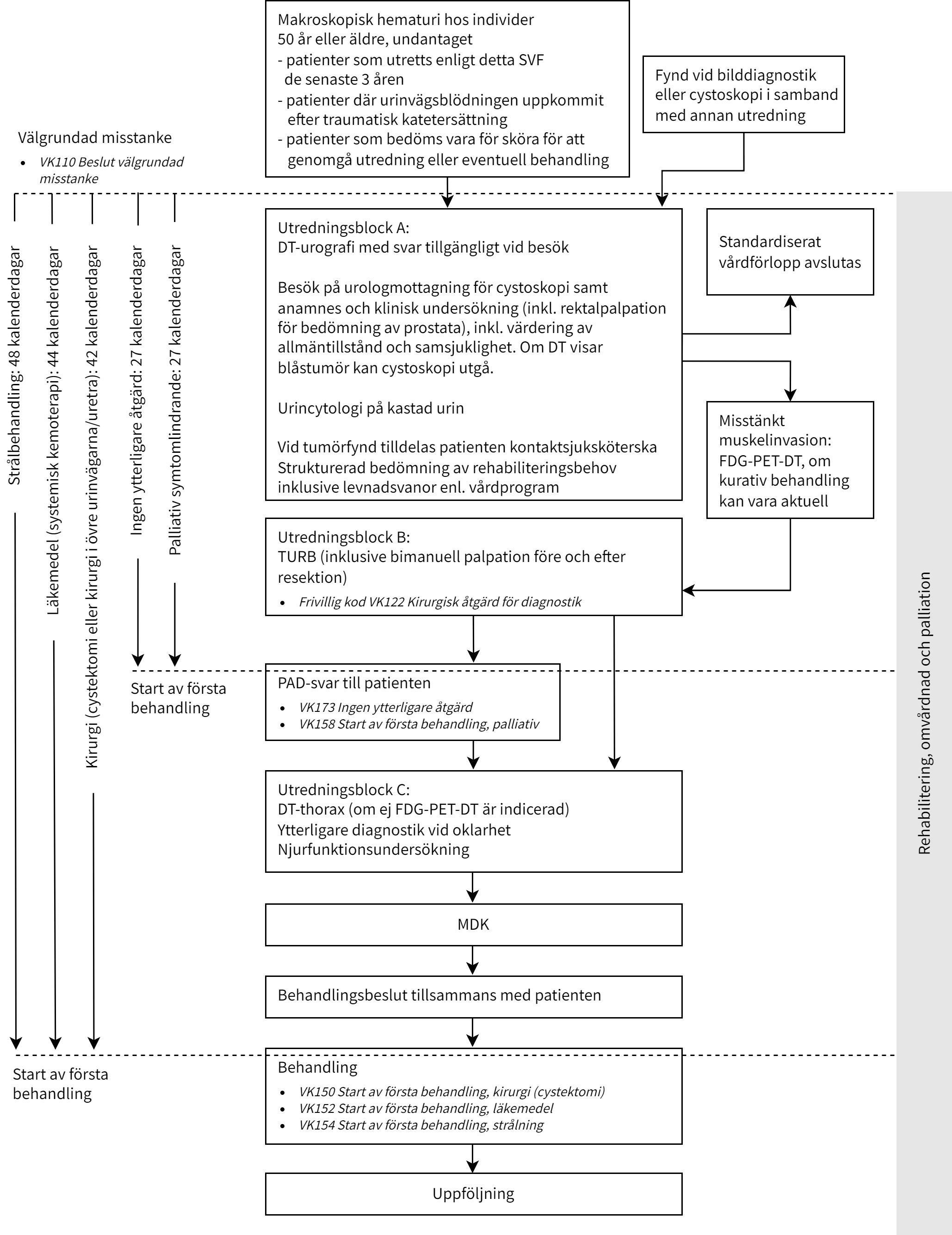 Fl&ouml;desschema cancer i urinv&auml;garna-2024-11-05.png