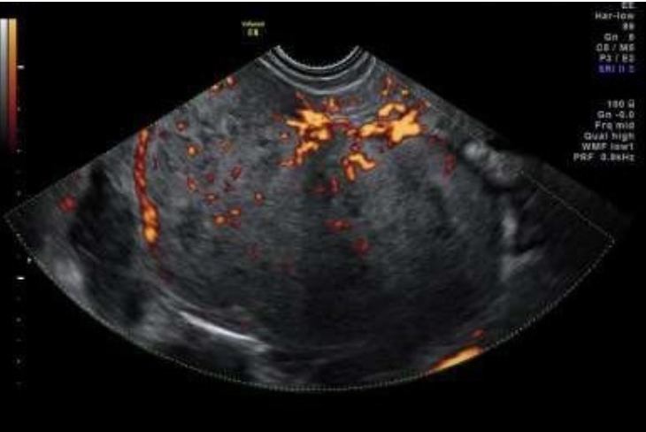 Bilaga 1 bild 10.jpg