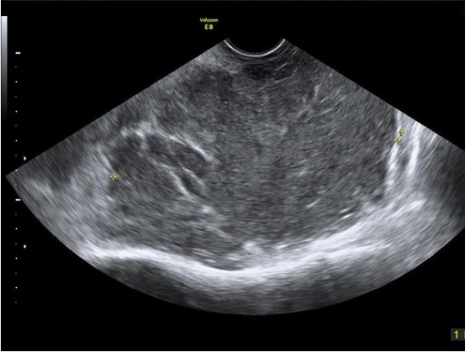 Bilaga 1 bild 12.jpg