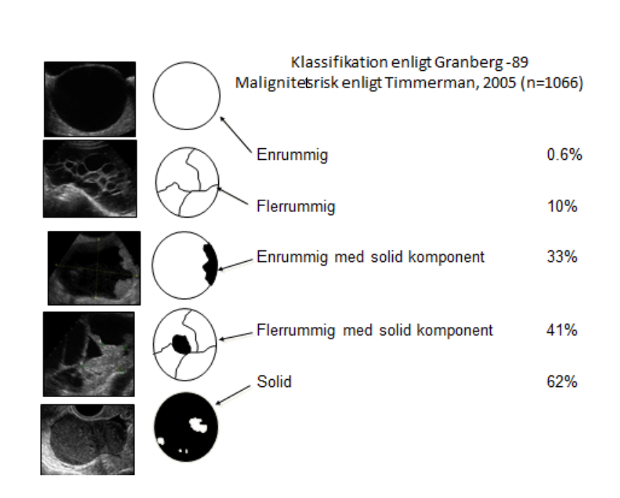 Klassifikation av Adnexexpansiviteter