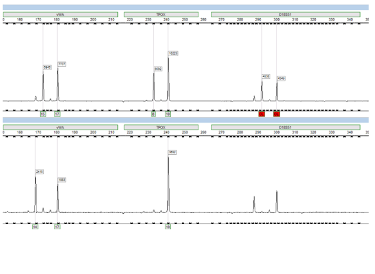 Bilaga 1 Figur 2 Kvast.png