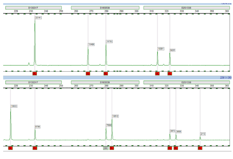 Bilaga 1 Figur 3 Kvast.png