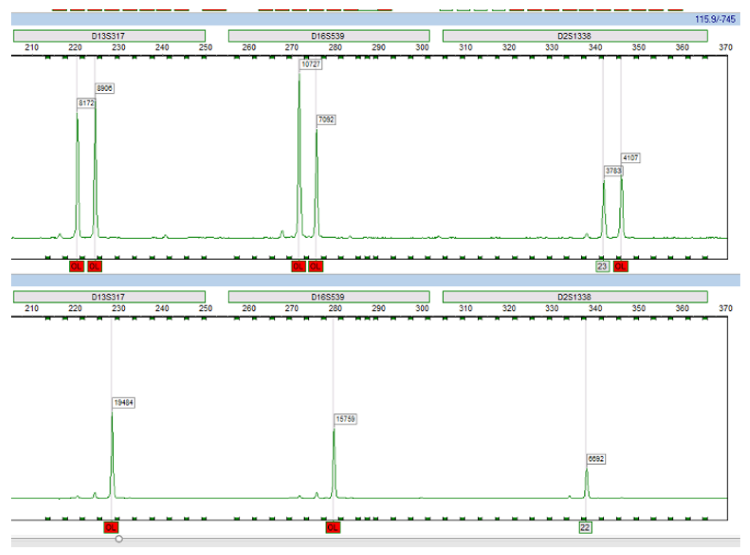 Bilaga 1 Figur 4 Kvast.png