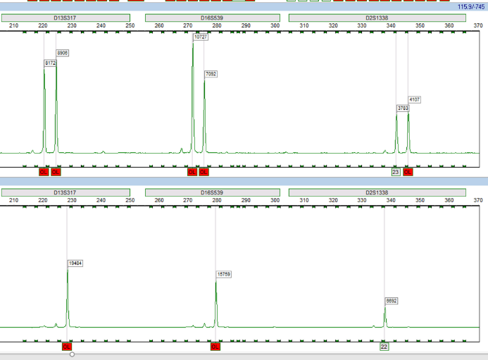 Kap 10.2.4 Figur C.png