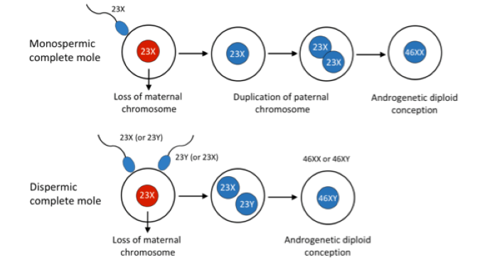 Kap 4.3.1 figur 2a.png