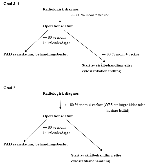 figur 15 kapitel 21.png