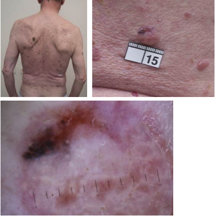 Bilaga 3 Fall 13.png