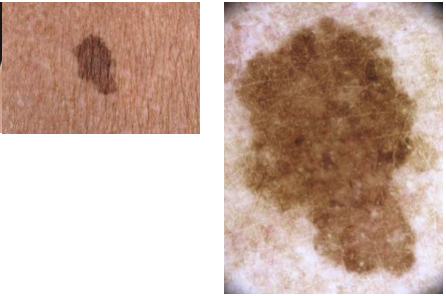 Bilaga 3 Fall 15.png