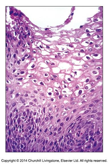 Bilaga 7. 4.1 Figur1.png