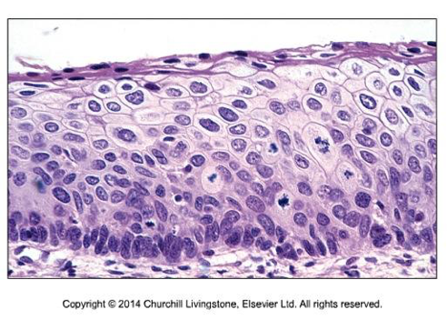 Bilaga 7. 4.1 Figur3.png