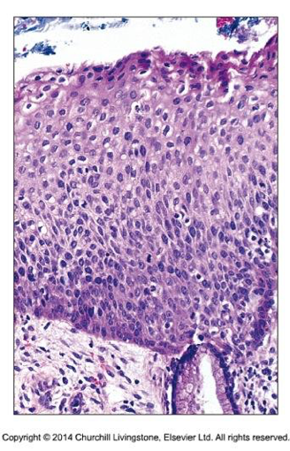 Bilaga 7. 4.1 Figur4.png