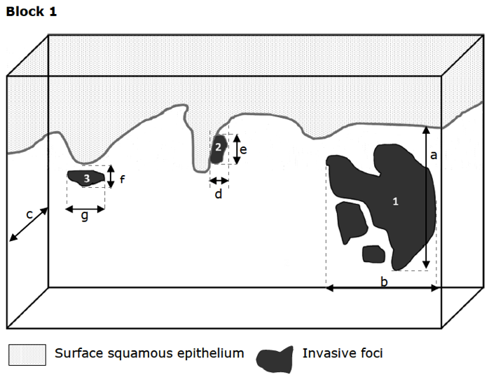 Bilaga 7. 4.3 Figur 1.png