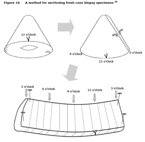 Bilaga 7. 5. Figur1.png
