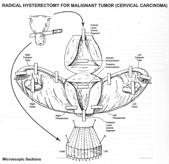 Bilaga 7. 5. Figur3.png