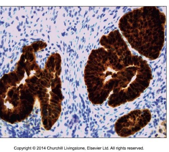 Bilaga 7. 6.2 Figur2.png