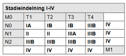 Tabell &ouml;ver stadienindelning