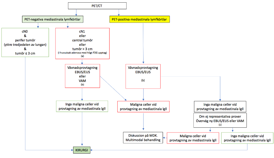 Fl&ouml;desschema av mediastinal staging 