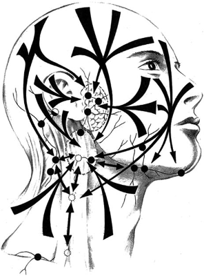 Olika v&auml;gar f&ouml;r spridning av metastaser