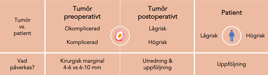 Lanthund f&ouml;r utredning