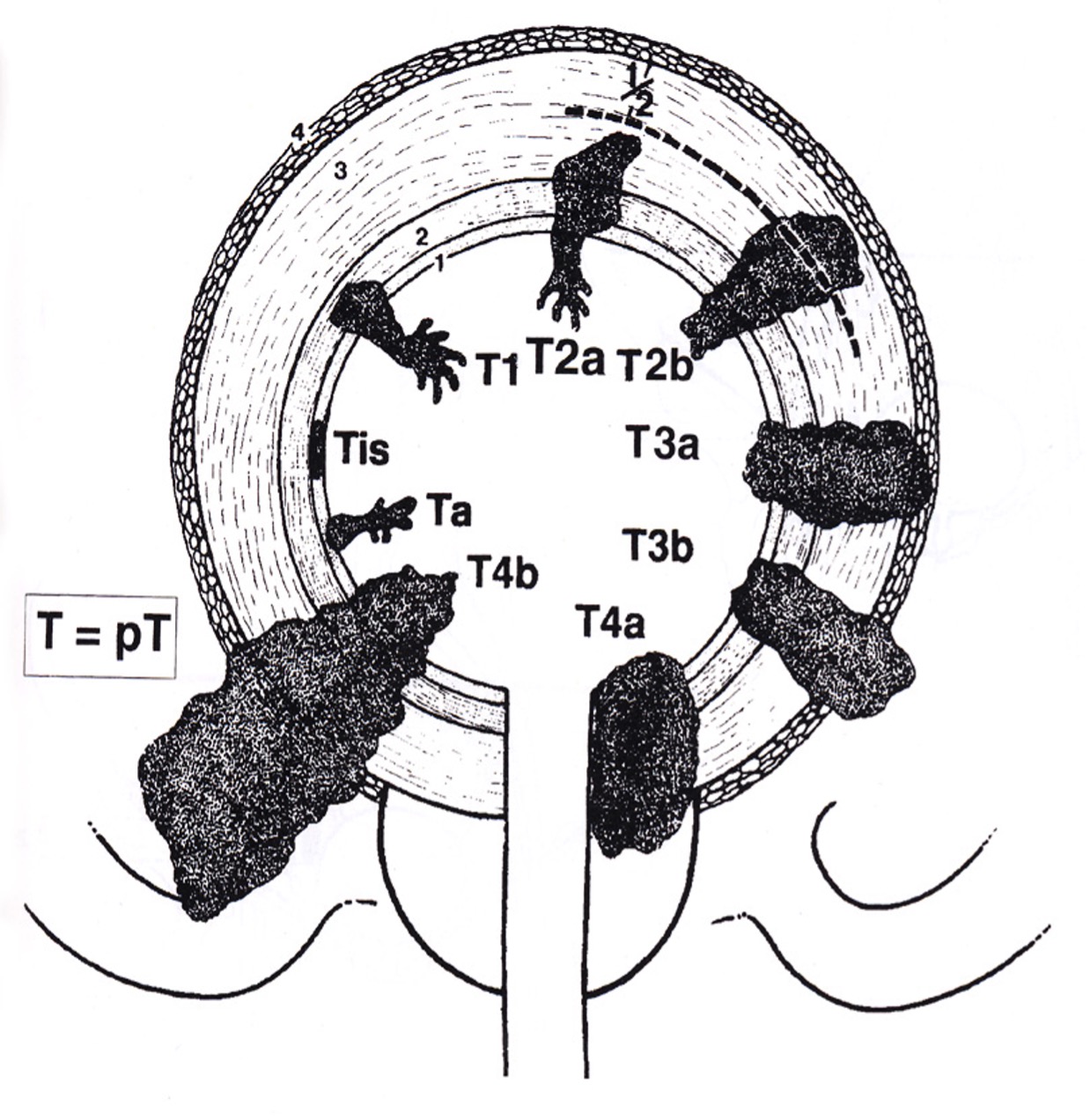 Bilaga 12, avsnitt VII.2_25.jpg