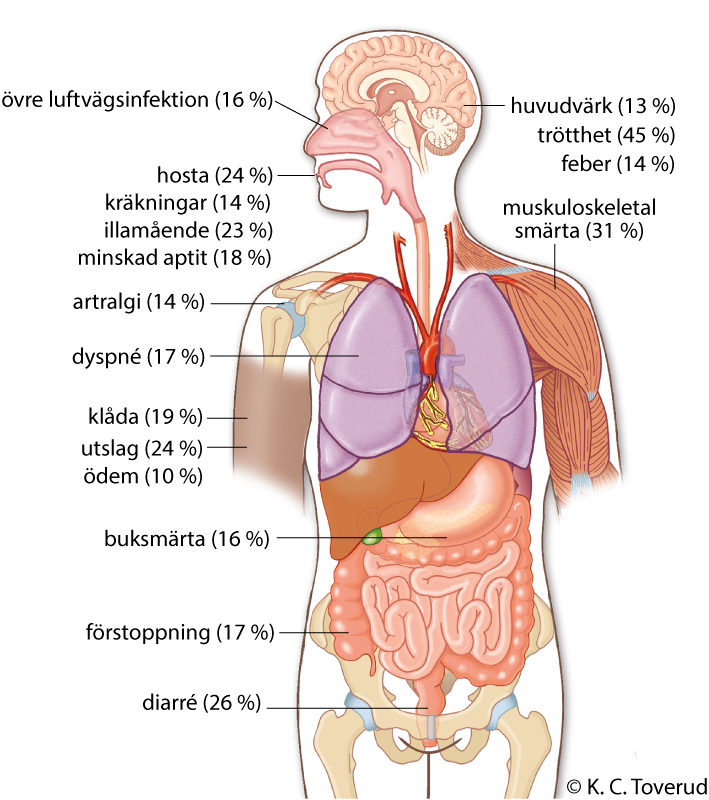 Illustration av insidan av en m&auml;nniskokropp med skelett, muskler och organ. Text med vanliga biverkningar och pilar till organen d&auml;r de f&ouml;rekommer.